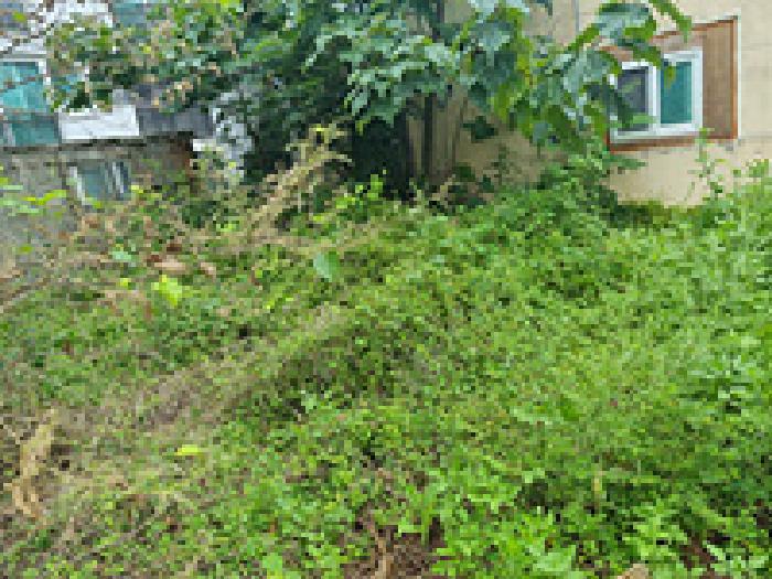 경상남도 창원시 의창구 동읍 용잠리 234-3 외 1필지 대지 경매 사진 1