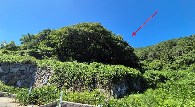 경상남도 남해군 미조면 송정리 산58-10 외 1필지 임야 경매 사진 1