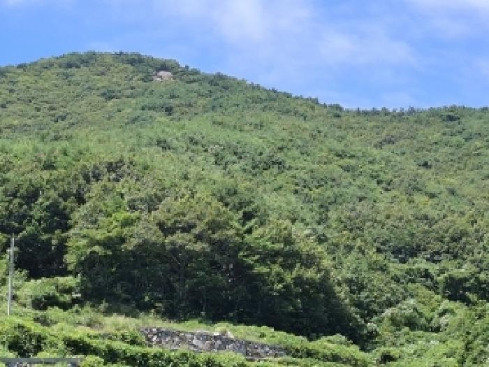 경상남도 남해군 미조면 송정리 산58-10 외 1필지 임야 경매 사진 2