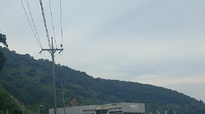 경상남도 거제시 하청면 석포리 산1 임야 경매 사진 5