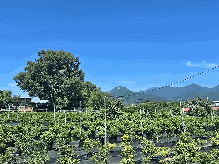 전라남도 담양군 수북면 나산리 201 전 경매 사진 14