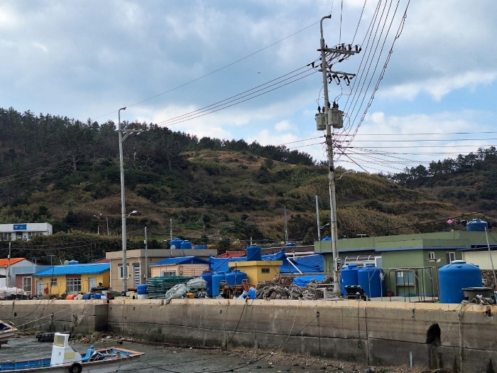 전라남도 신안군 흑산면 다물도리 125 전 경매 사진 1