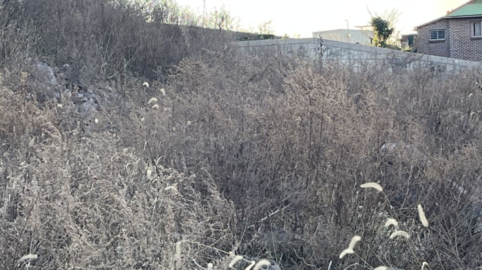 전라남도 무안군 무안읍 성남리 199 전 경매 사진 3