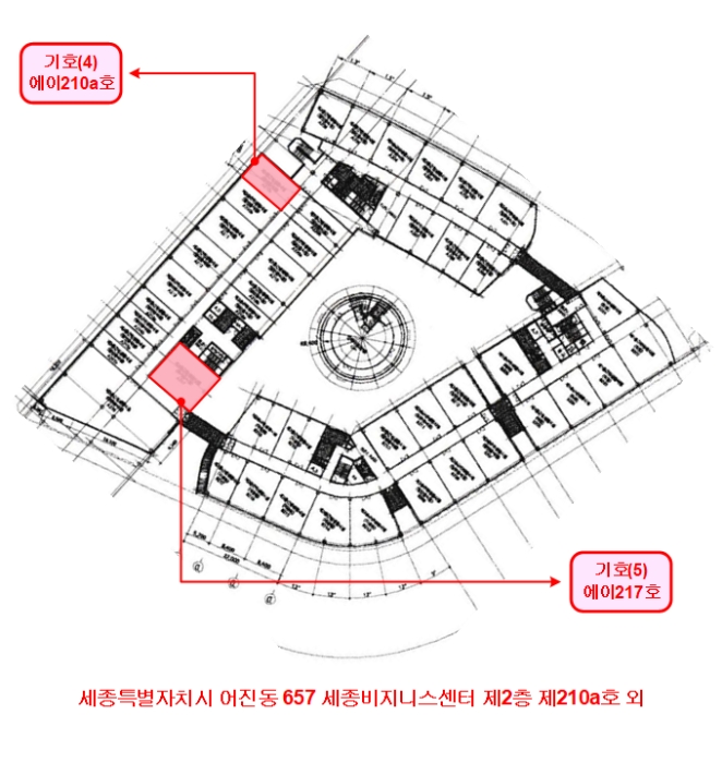 세종특별자치시 어진동 657, 2층에이217호 (어진동,세종비지니스센터) 근린상가 경매 사진 11