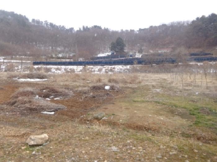 충청남도 서산시 부석면 봉락리 303-1 외 1필지 전 경매 사진 17