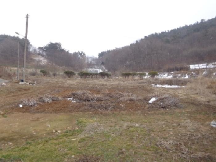 충청남도 서산시 부석면 봉락리 303-1 외 1필지 전 경매 사진 18