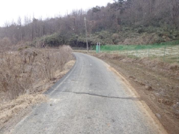 충청남도 서산시 부석면 봉락리 303-1 외 1필지 전 경매 사진 19