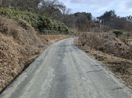 충청남도 서산시 부석면 봉락리 303-1 외 1필지 전 경매 사진 3