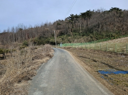 충청남도 서산시 부석면 봉락리 303-1 외 1필지 전 경매 사진 4