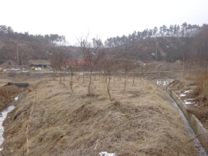 충청남도 서산시 부석면 봉락리 303-1 외 1필지 전 경매 사진 7