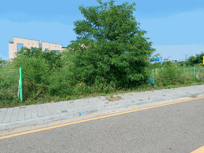 경기도 김포시 고촌읍 향산리 104-14 대지 경매 사진 11