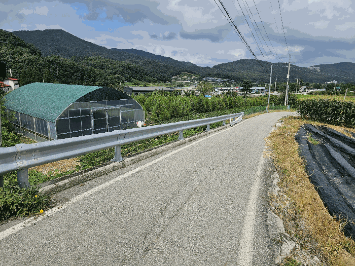 충청북도 충주시 앙성면 마련리 208-1 전 경매 사진 17