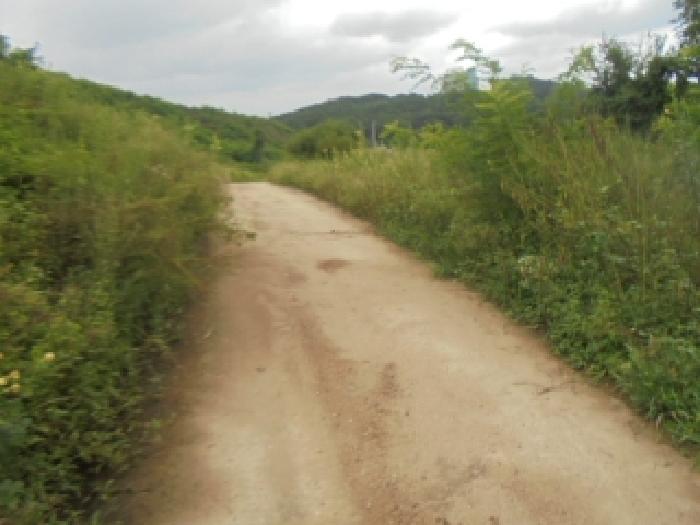 충청북도 음성군 감곡면 단평리 59-3 외 1필지 전 경매 사진 1