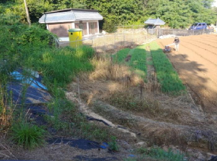 충청남도 금산군 금성면 양전리 522-19 외 2필지 전 경매 사진 11