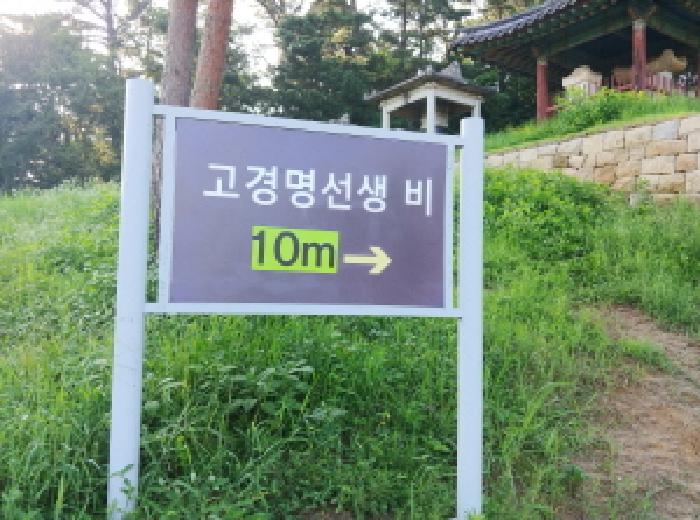 충청남도 금산군 금성면 양전리 522-19 외 2필지 전 경매 사진 13