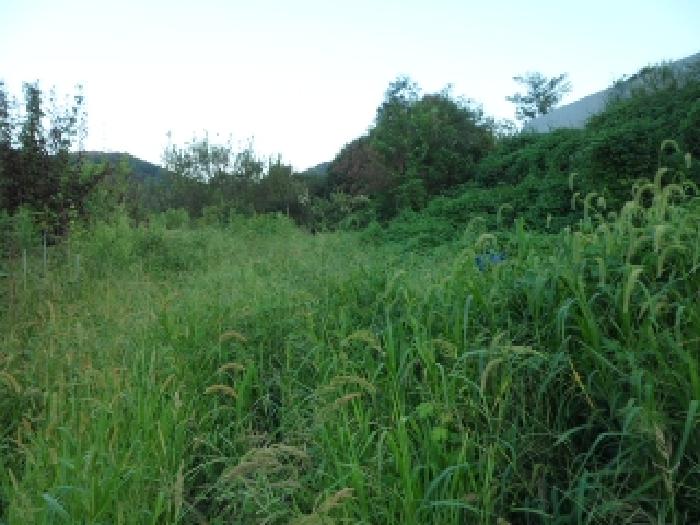 대구광역시 달성군 논공읍 노이리 700 전 경매 사진 21