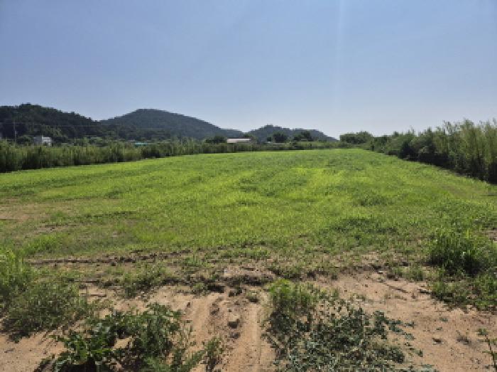 울산광역시 울주군 온산읍 삼평리 699 전 경매 사진 11