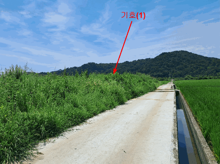 울산광역시 울주군 온산읍 삼평리 699 전 경매 사진 12
