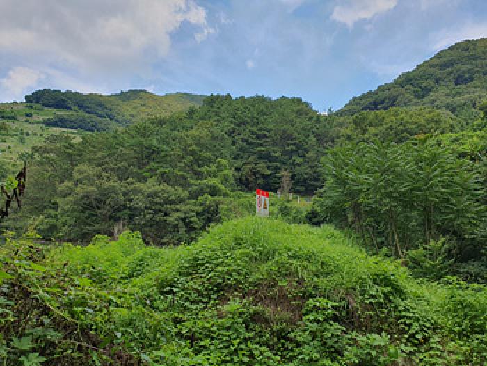 경상남도 김해시 삼계동 산126 임야 경매 사진 7