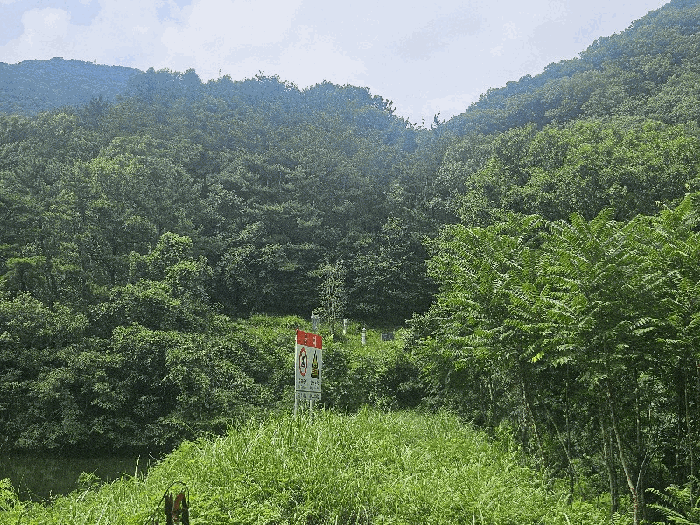 경상남도 김해시 삼계동 산126 임야 경매 사진 9