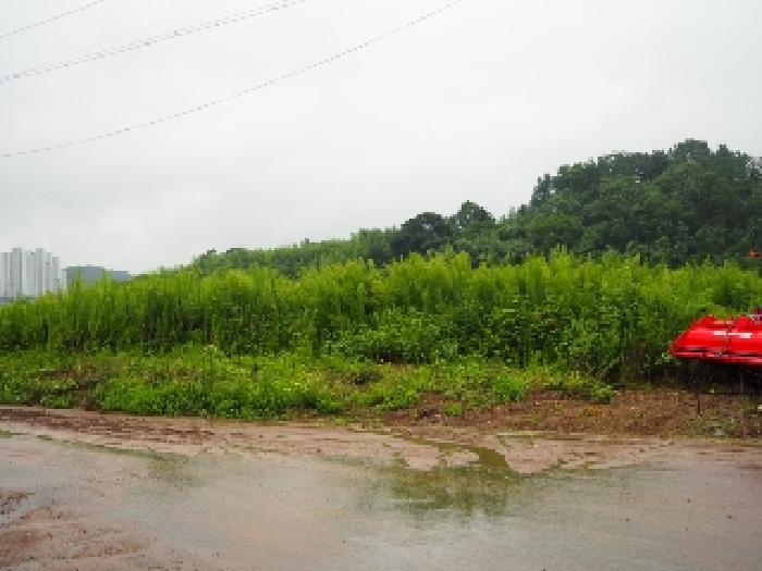 경상남도 창녕군 남지읍 학계리 655-1 답 경매 사진 13