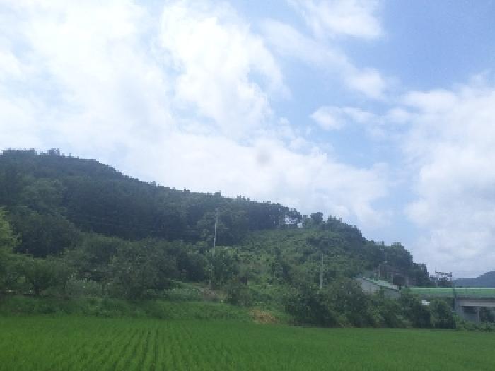 전북특별자치도 임실군 오수면 군평리 산194 외 1필지 임야 경매 사진 13