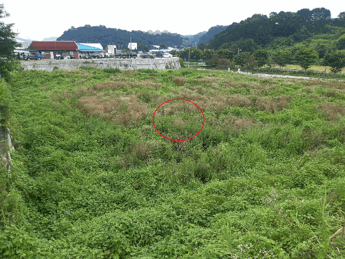 전북특별자치도 진안군 진안읍 군하리 359 전 경매 사진 30