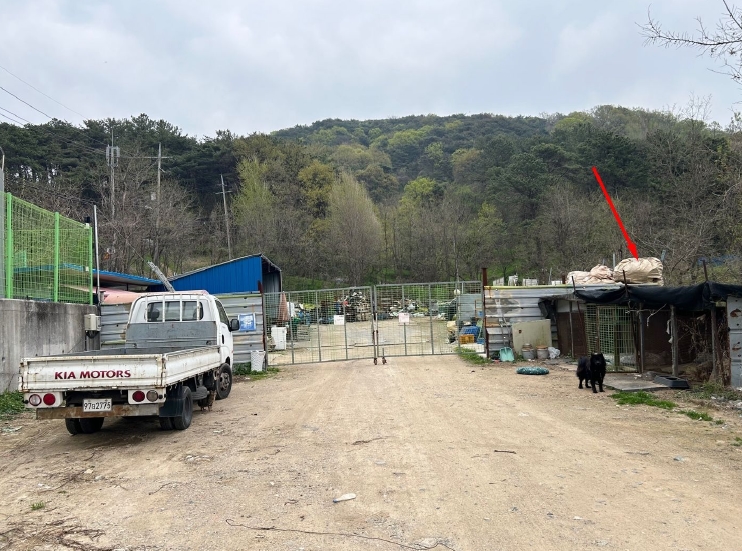경상남도 김해시 진영읍 하계리 4 외 3필지 답 경매 사진 5