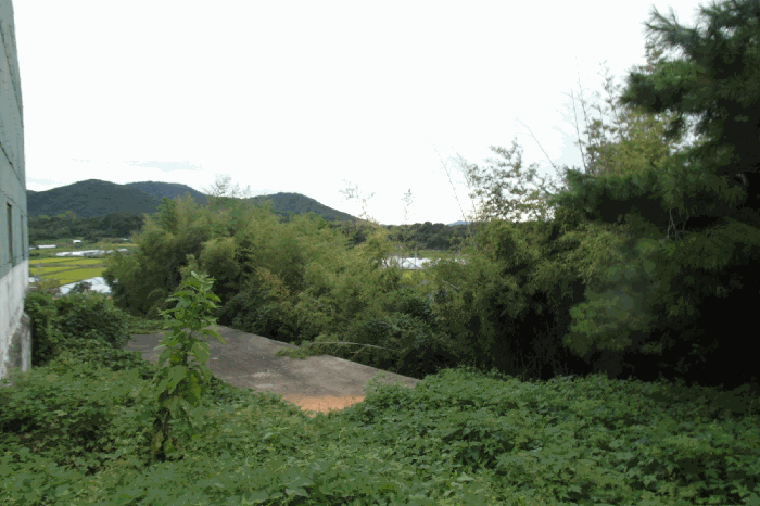 충청남도 논산시 연무읍 양지리 194-10 주1동 외 5필지 공장 경매 사진 61