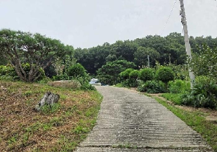 충청남도 아산시 음봉면 월랑리 496-3 임야 경매 사진 7
