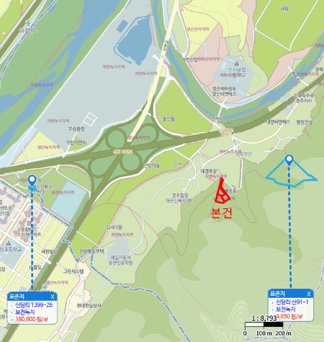 경상북도 경주시 천북면 신당리 산99-1 외 4필지 임야 경매 사진 11