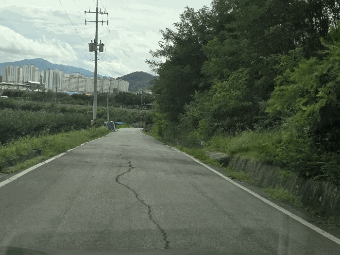 경상북도 김천시 덕곡동 519-2 외 1필지 임야 경매 사진 11