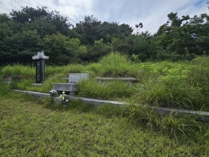 경상남도 산청군 신등면 간공리 산137 임야 경매 사진 15