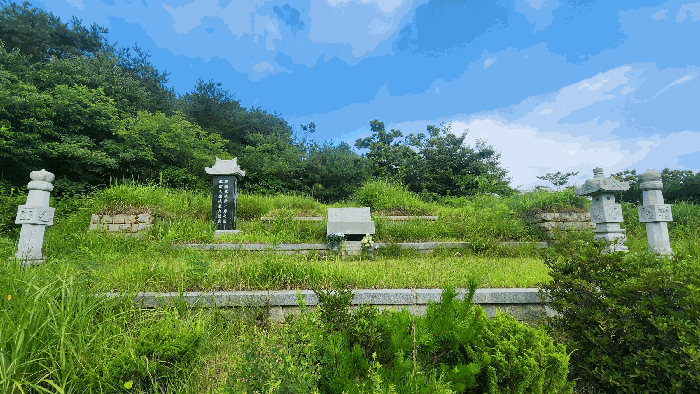 경상남도 산청군 신등면 간공리 산137 임야 경매 사진 19