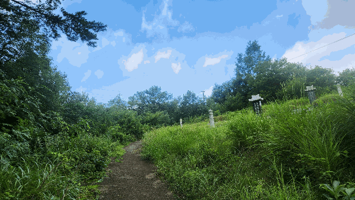 경상남도 산청군 신등면 간공리 산137 임야 경매 사진 20