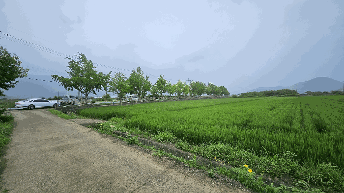 경상남도 거제시 거제면 동상리 686-11 답 경매 사진 10