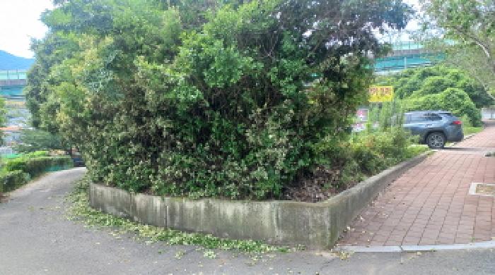 경상남도 거제시 상동동 871-1 외 1필지 상가주택 경매 사진 21