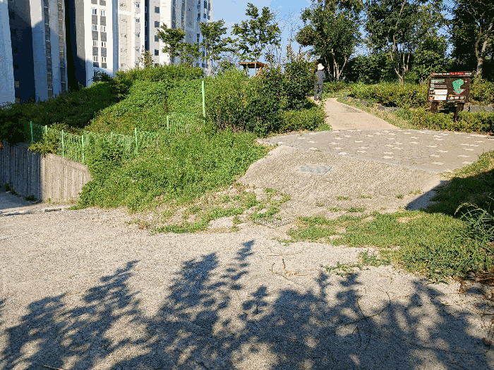 광주광역시 남구 백운동 286-3 전 경매 사진 4