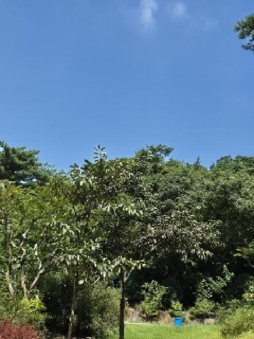 광주광역시 광산구 서봉동 산189-7 외 1필지 임야 경매 사진 2