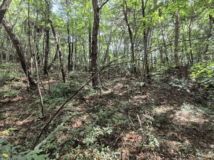 광주광역시 광산구 서봉동 산189-7 외 1필지 임야 경매 사진 4