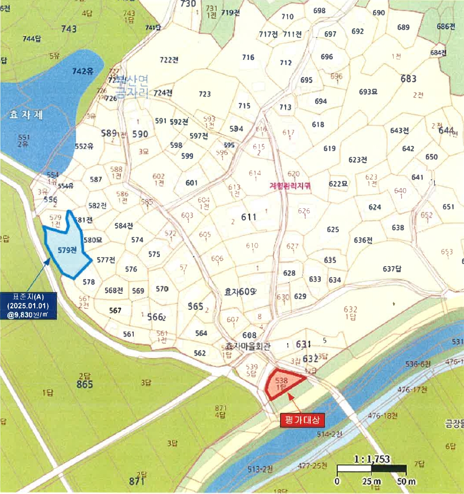 전라남도 장흥군 부산면 금자리 538-1 답 경매 사진 9