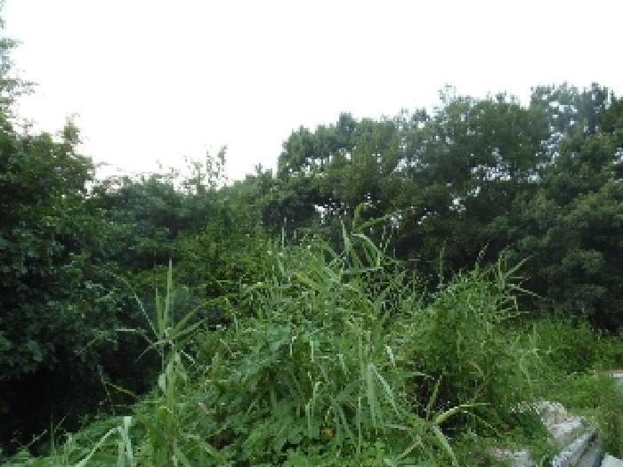 전북특별자치도 김제시 금구면 낙성리 503-7 주건축물제1동 외 9필지 근린생활시설 경매 사진 58