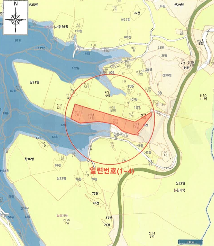 충청북도 제천시 청풍면 단리 산31-12 외 3필지 임야 경매 사진 15