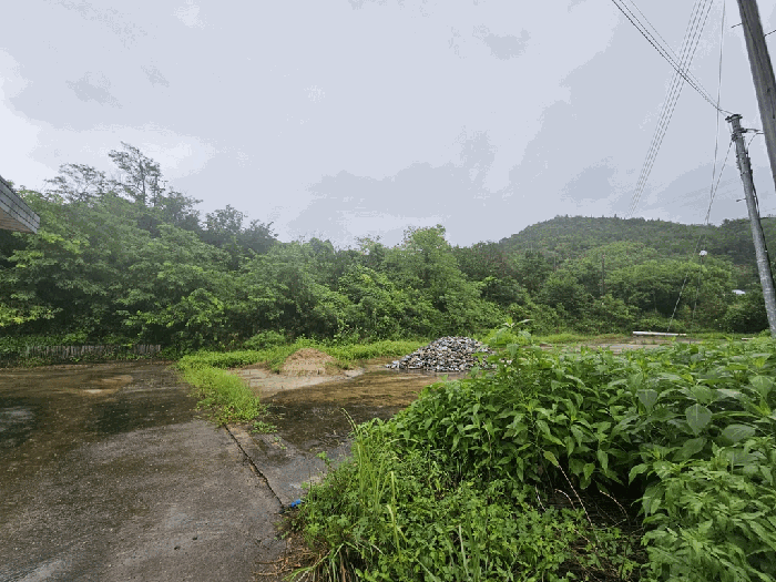 충청북도 제천시 청풍면 단리 산31-12 외 3필지 임야 경매 사진 9