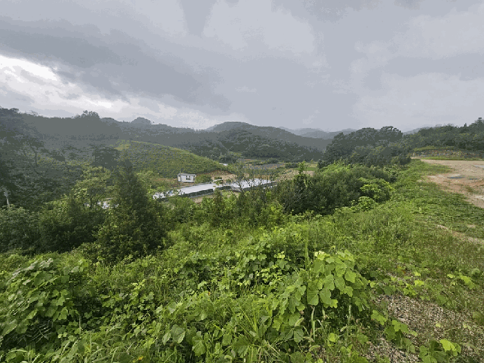 충청북도 제천시 청풍면 단리 산31-12 외 3필지 임야 경매 사진 10