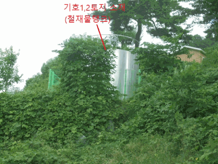 충청북도 제천시 신월동 산15-65 외 9필지 임야 경매 사진 11