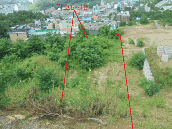 충청북도 제천시 신월동 산15-65 외 9필지 임야 경매 사진 9