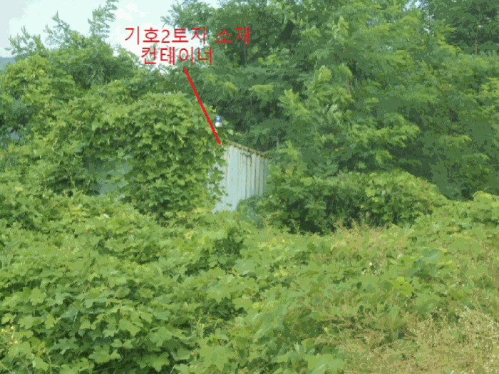 충청북도 제천시 신월동 산15-65 외 9필지 임야 경매 사진 10