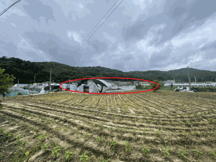대전광역시 유성구 세동 117 전 경매 사진 27