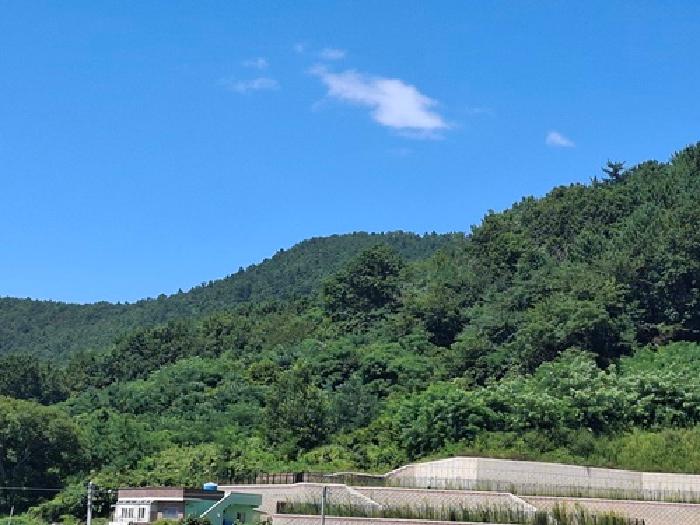 경상남도 사천시 실안동 401 외 7필지 전 경매 사진 2